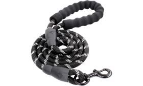 Reflective Dog Leash