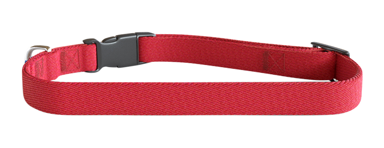 Embroidered Dog Collar