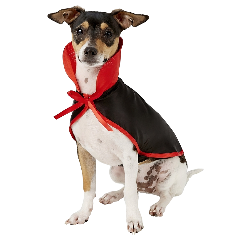 Dog Vampire Costume 2-in-1 set for Halloween