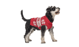 Printed Winter Sweater for Dogs