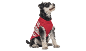 Printed Winter Sweater for Dogs