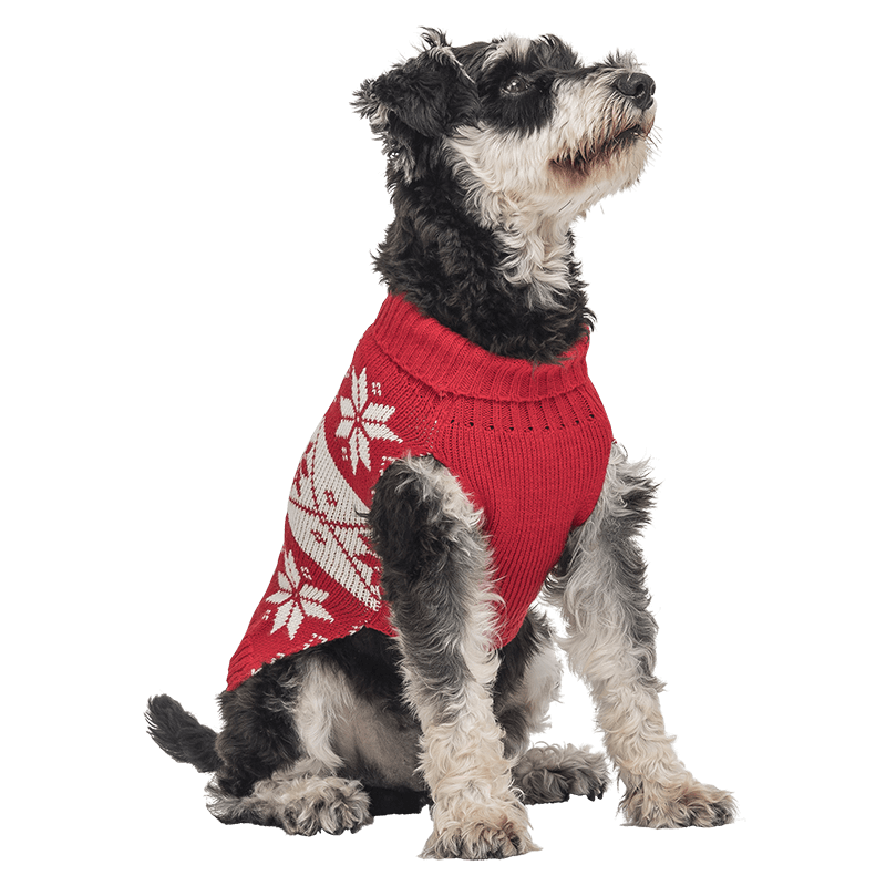 Printed Winter Sweater for Dogs