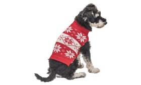 Printed Winter Sweater for Dogs