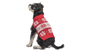 Printed Winter Sweater for Dogs