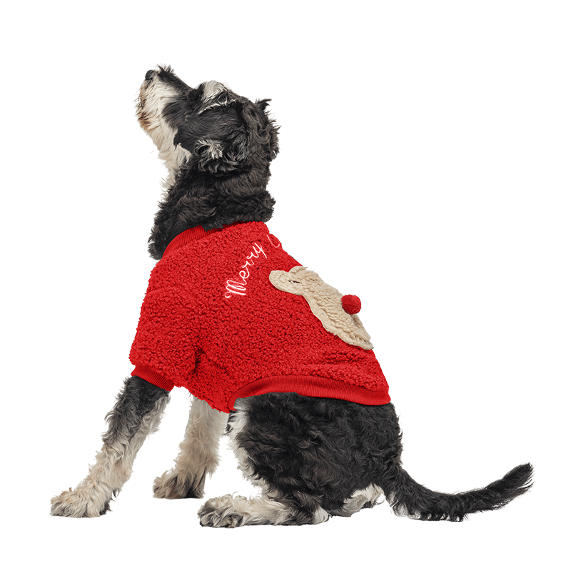 Buttoned Christmas Coat for Dogs