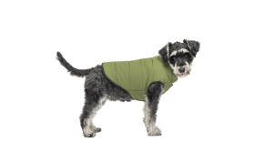 Windproof Dog Winter Vest