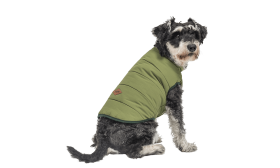 Windproof Dog Winter Vest