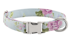 Dog Collar with Engraved Buckle