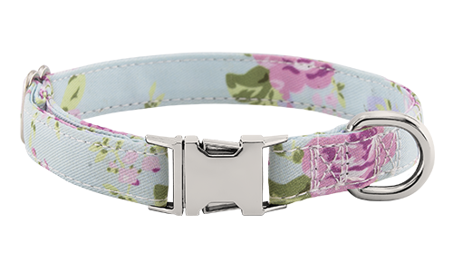 Dog Collar with Engraved Buckle