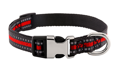 Reflective Dog Collar with Engraved Buckle