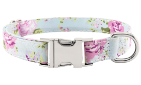 Dog Collar with Buckle
