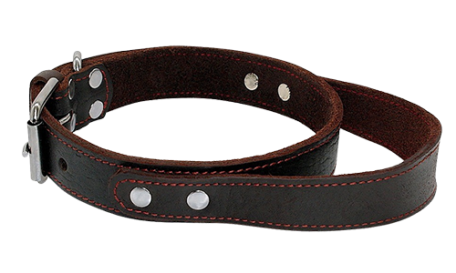 Genuine Leather Dog Collar with Quick Grab Handle