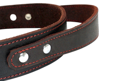 Genuine Leather Dog Collar with Quick Grab Handle