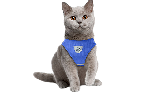 Reflective Cat Harness Vest with Matching Leash