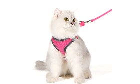 Reflective Cat Harness Vest