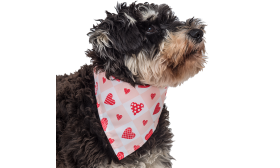 Printed Heart Dog Bandana