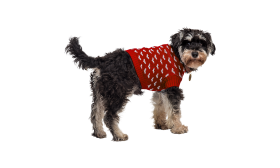Printed Heart Sweater for Dogs