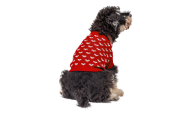 Printed Heart Sweater for Dogs