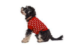 Printed Heart Sweater for Dogs