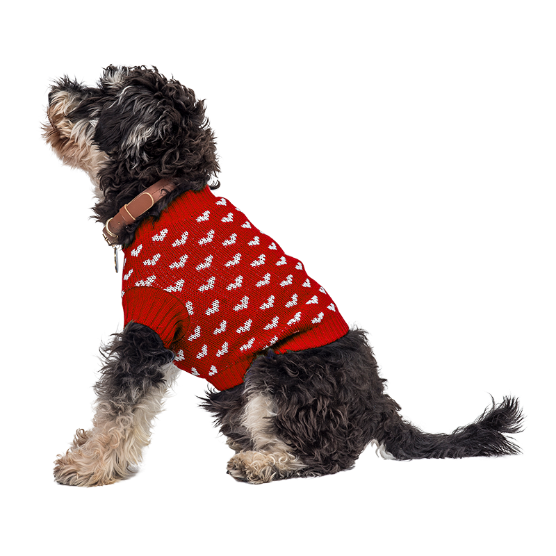 Printed Heart Sweater for Dogs