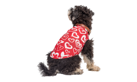 Dog Vest for Valentine's day Pup Outfit