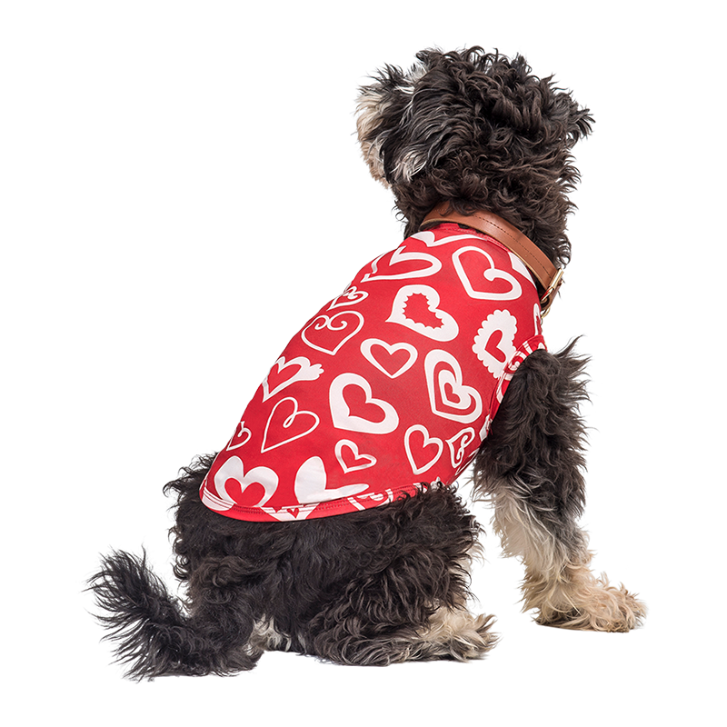 Dog Vest for Valentine's day Pup Outfit