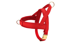 Dog Harness Kit with Collar and Leash