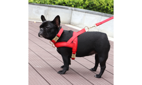 Dog Harness Kit with Collar and Leash