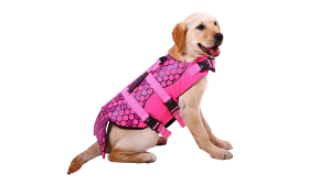 Mermaid Dog Life Jacket