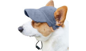 Breathable Dog Sports Hat for Summer
