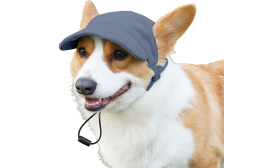 Breathable Dog Sports Hat for Summer