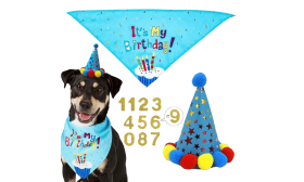 Dog Birthday Bandana Set