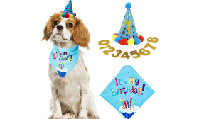 Dog Birthday Bandana Set