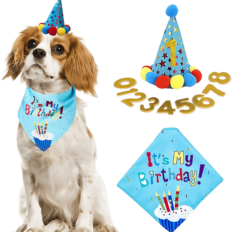 Dog Birthday Bandana Set