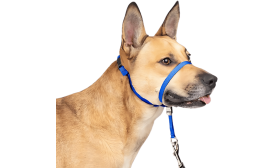 No Pull Dog Head Collar with Padded Nose Loop