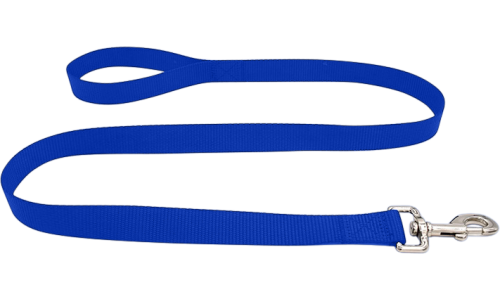 Leash