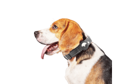 Reflective Airtag Dog Collar
