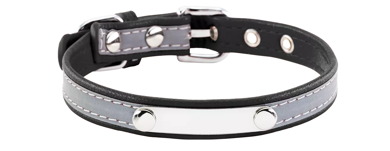 Reflective Engraved Dog Collar