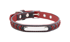 Braided Engraved Dog Collar