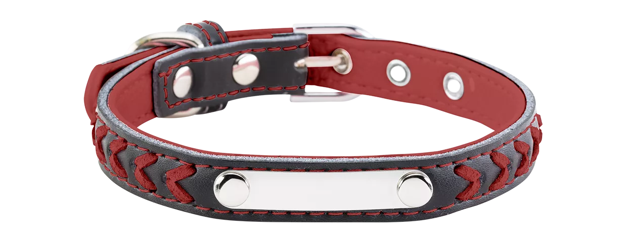 Braided Engraved Dog Collar