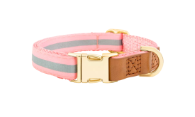 Dog Collar with Engraved Gold Buckle