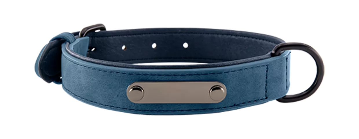 Luxury Velvet Engraved Dog Collar