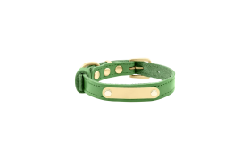 Luxury Genuine Leather Engraved Dog Collar