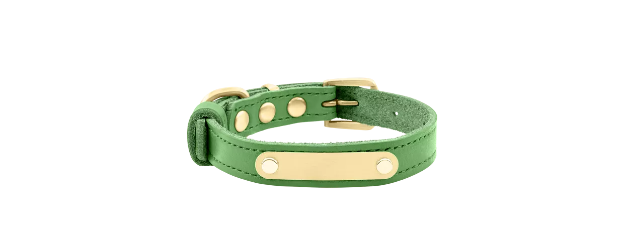 Luxury Genuine Leather Engraved Dog Collar