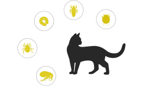 Collier naturel pour chat contre les puces et les tiques