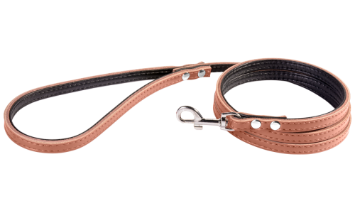 Laisse en cuir