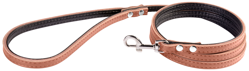 Leather Dog Leash Laisse en cuir