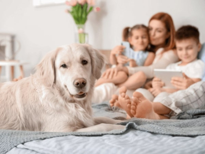12 Family-Friendly Dog Breeds for a Happy Home: The Perfect Companions for Every Family